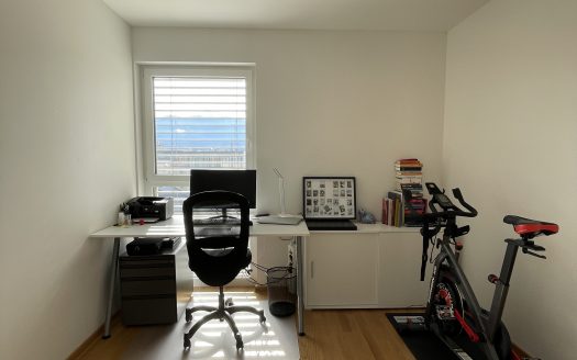 Altstadtflair trifft modernen Wohnkomfort – 3-Zimmer Wohnung mitten in Villach