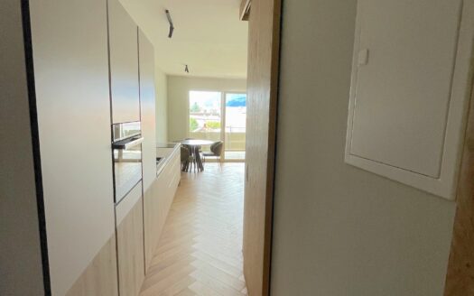 Eine Wohnung mit klarem Statement – Vollmöblierte 1- Zimmer Designerwohnung im letzten Obergeschoss