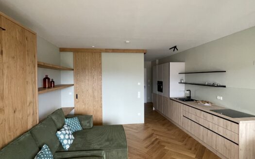 Eine Wohnung mit klarem Statement – Vollmöblierte 1- Zimmer Designerwohnung im letzten Obergeschoss